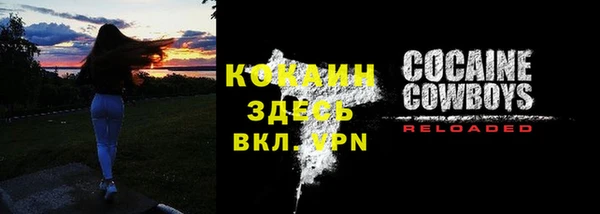 дмт Горняк