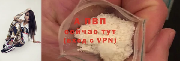 сатива Горнозаводск